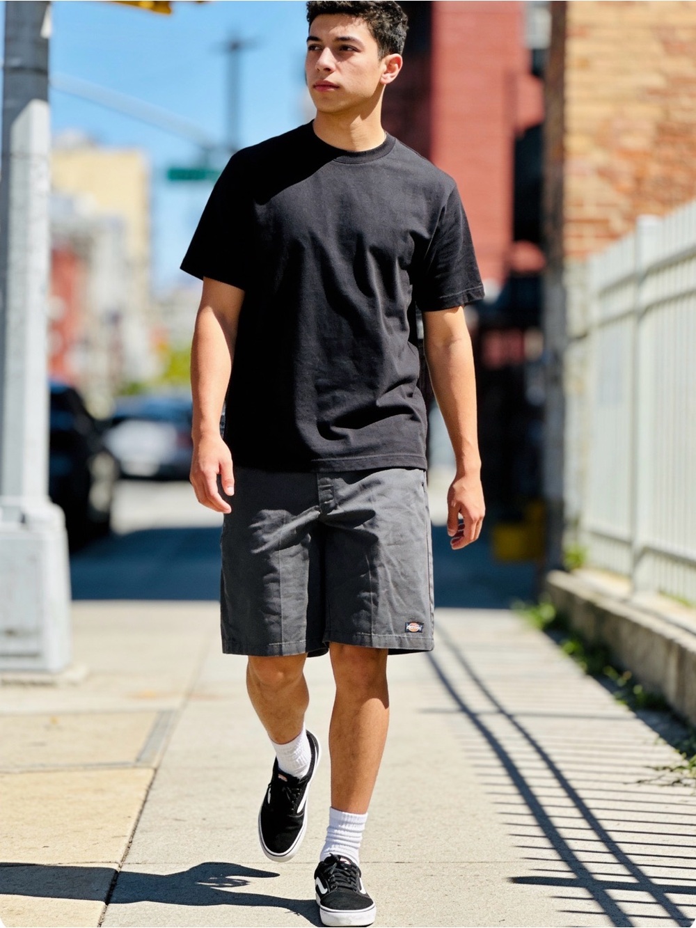 Dickie shorts gray
